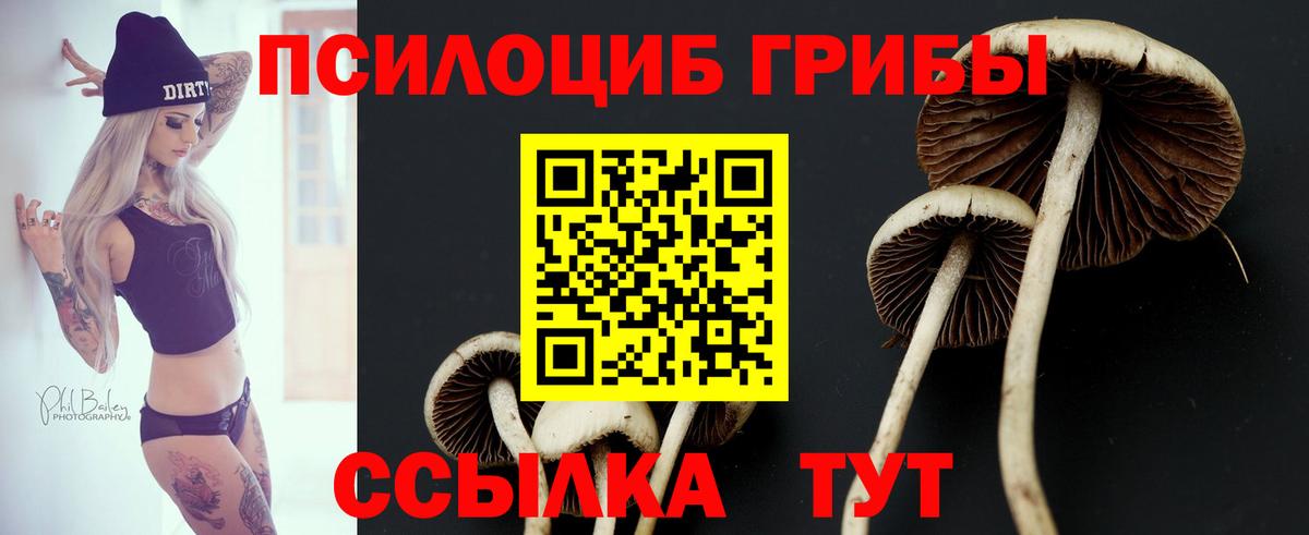 Псилоцибиновые грибы Psilocybe  Псилоцибиновые грибы GOLDEN TEACHER  Вход с VPN  Сухой Лог 